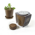 Mini Planting Kit - Wrap with Medallion